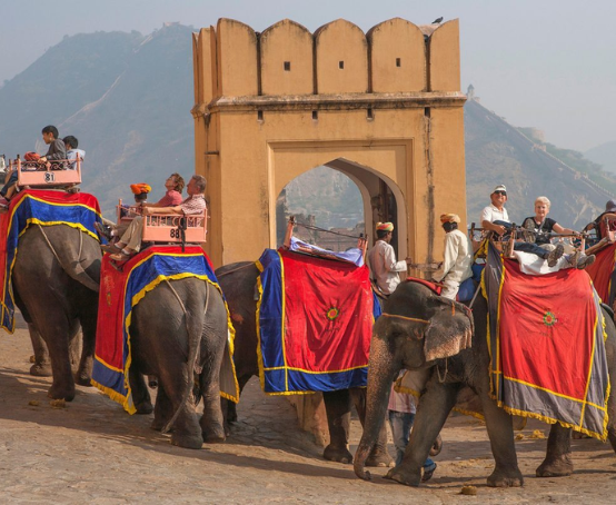 Elephant Ride